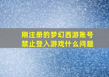 刚注册的梦幻西游账号禁止登入游戏什么问题