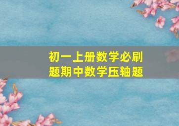 初一上册数学必刷题期中数学压轴题