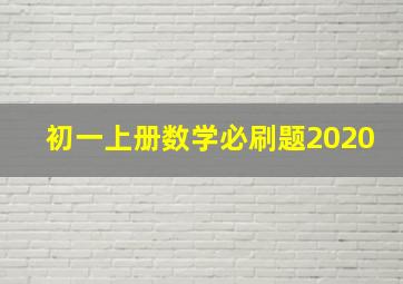 初一上册数学必刷题2020