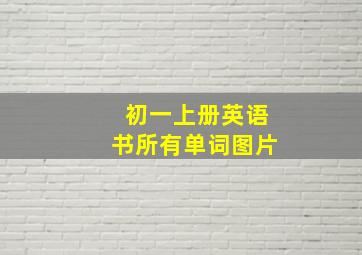 初一上册英语书所有单词图片