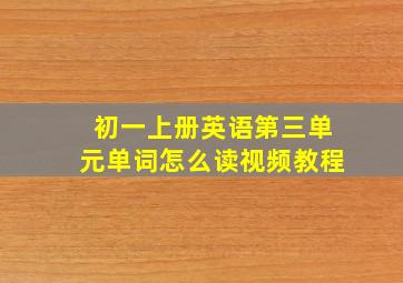 初一上册英语第三单元单词怎么读视频教程