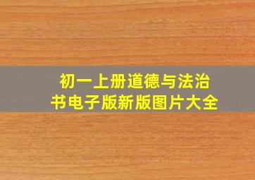 初一上册道德与法治书电子版新版图片大全