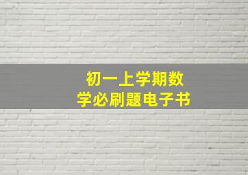 初一上学期数学必刷题电子书