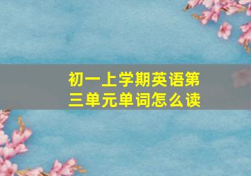 初一上学期英语第三单元单词怎么读