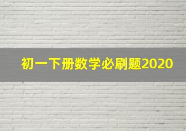 初一下册数学必刷题2020