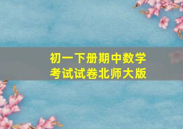 初一下册期中数学考试试卷北师大版