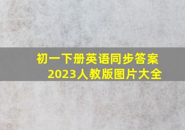 初一下册英语同步答案2023人教版图片大全