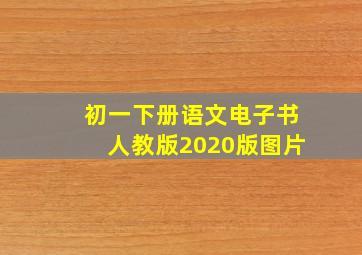 初一下册语文电子书人教版2020版图片