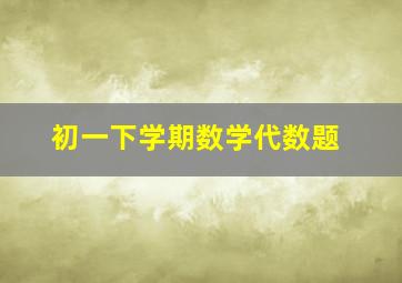 初一下学期数学代数题