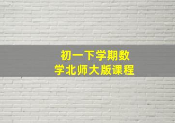 初一下学期数学北师大版课程