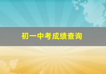 初一中考成绩查询