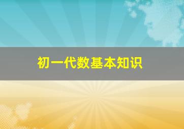 初一代数基本知识