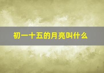 初一十五的月亮叫什么