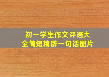 初一学生作文评语大全简短精辟一句话图片