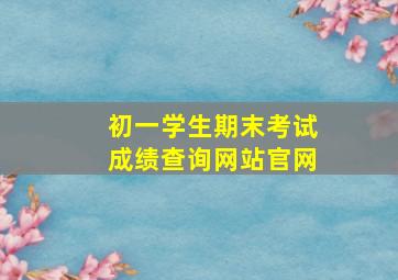 初一学生期末考试成绩查询网站官网