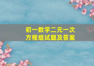 初一数学二元一次方程组试题及答案