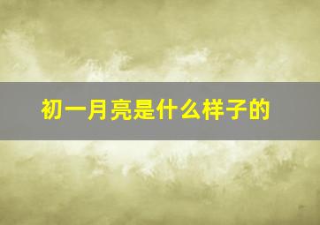 初一月亮是什么样子的