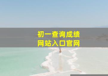 初一查询成绩网站入口官网