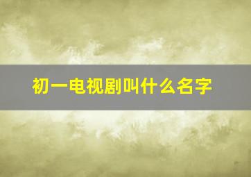 初一电视剧叫什么名字