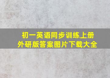 初一英语同步训练上册外研版答案图片下载大全