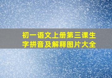 初一语文上册第三课生字拼音及解释图片大全