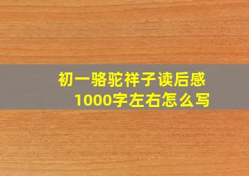 初一骆驼祥子读后感1000字左右怎么写