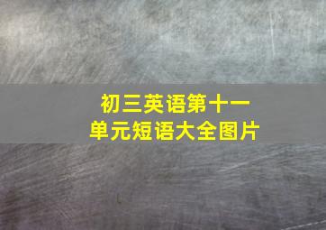 初三英语第十一单元短语大全图片