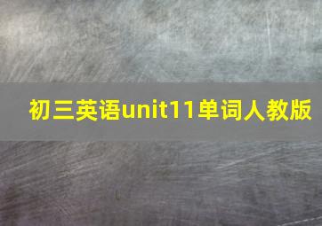 初三英语unit11单词人教版