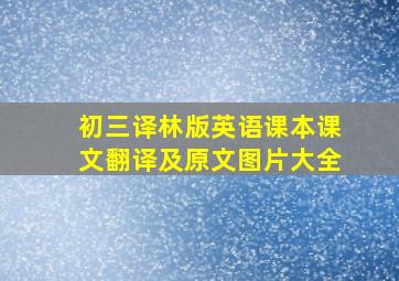 初三译林版英语课本课文翻译及原文图片大全