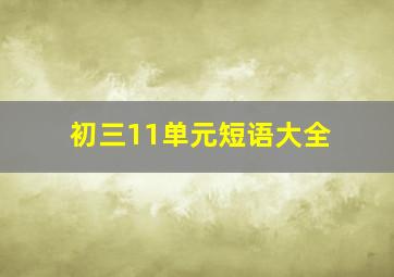 初三11单元短语大全