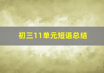 初三11单元短语总结