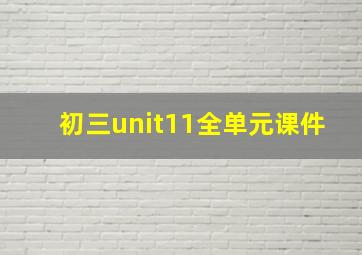 初三unit11全单元课件