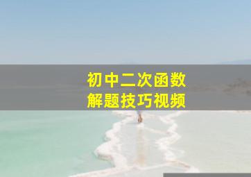 初中二次函数解题技巧视频