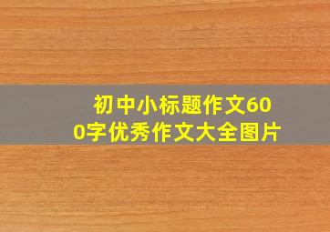 初中小标题作文600字优秀作文大全图片