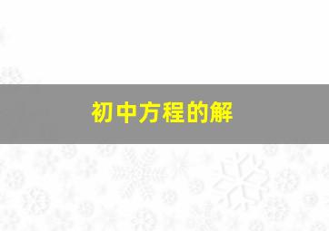 初中方程的解