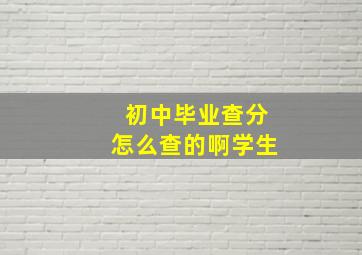 初中毕业查分怎么查的啊学生