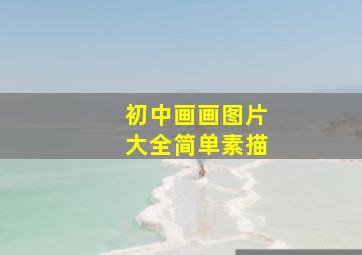 初中画画图片大全简单素描