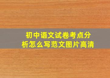 初中语文试卷考点分析怎么写范文图片高清