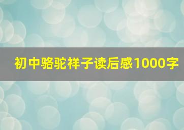 初中骆驼祥子读后感1000字