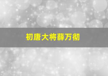 初唐大将薛万彻