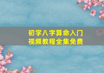 初学八字算命入门视频教程全集免费