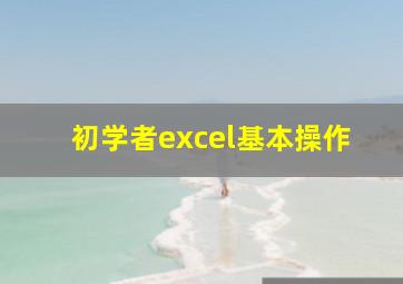 初学者excel基本操作