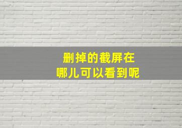 删掉的截屏在哪儿可以看到呢