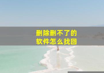 删除删不了的软件怎么找回