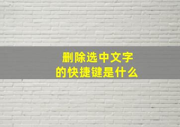 删除选中文字的快捷键是什么