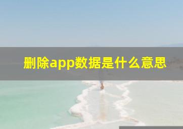 删除app数据是什么意思