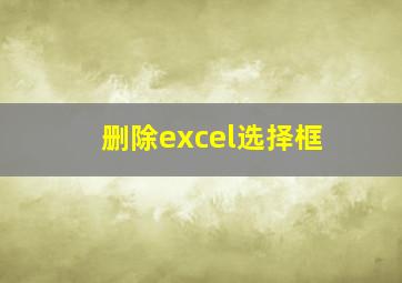 删除excel选择框