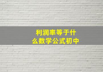 利润率等于什么数学公式初中