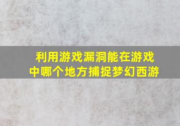 利用游戏漏洞能在游戏中哪个地方捕捉梦幻西游