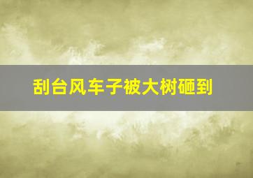 刮台风车子被大树砸到